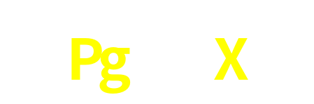 Pg100X